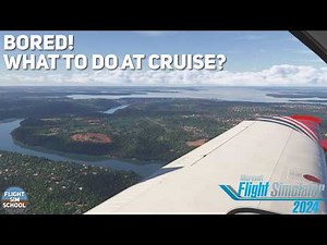 What To Do At Cruise in MSFS2020 & MSFS2024