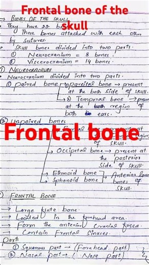 Frontal bone of the skull note