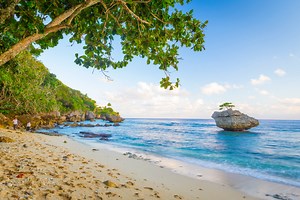 Christmas Island Photo Tour