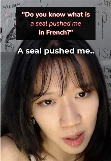 Apprenons le français avec humour !