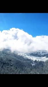 While southern China is facing a searing heatwave, snow is coming down in Koktokay, Northwest China's Xinjiang Uygur Autonomous Region. Xi’s Moments, a quick way to learn about China. | Xi's Moments