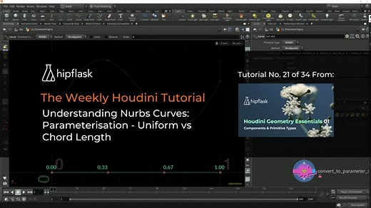 Understanding Nurbs Curves – Parameterisation: Uniform vs Chord Length | SideFX