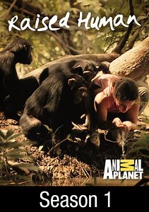 Raised Human: JoJo the Dolphin