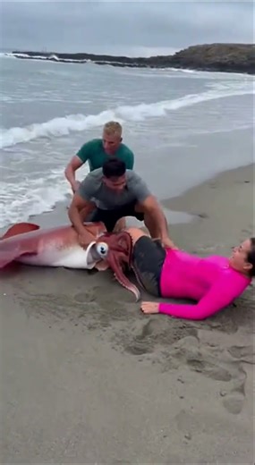 Giant Squid ATTACKS Tourist on Beach 😱 #Shorts