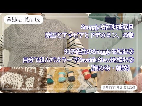 【編み物・雑談】Snuggly を編む② Gavstrik Shawlを編む② スナグリー着画、豪雪で疲れた心とアッピアとドデカミンから復活した話、の巻