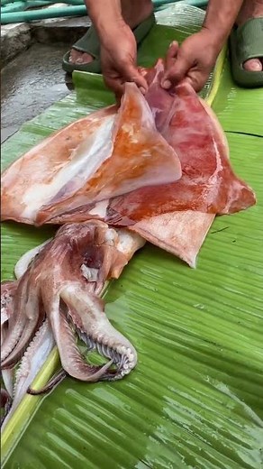 How to Clean and Prepare a Giant Squid | Fresh Seafood Preparation Step by Step