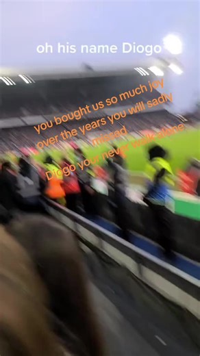 Remembering Diogo: A Tribute to His Joy and Spirit