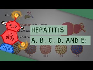 Hepatitis A, B, C, D and E: All you need to know