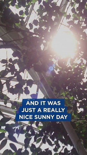 Beatles Full Moon Celebration every month in Austin Texas 👉 ConcertsintheDark.com | Strings Attached