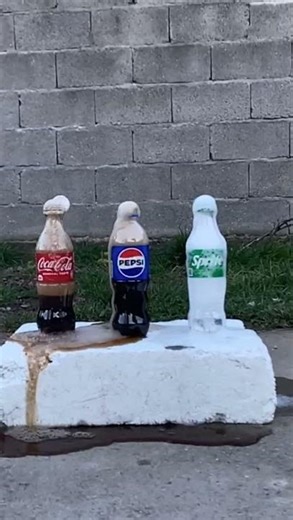 Who Explodes Bigger? Pepsi vs Coca-Cola vs Sprite + Mentos! 🤯🔥