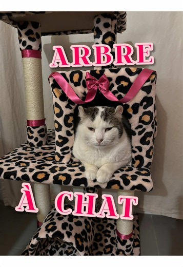 Je vais faire un arbre à chat géant à la place de mon canap je pense #chat #deco #diy #arbreachat #dopaminedecor