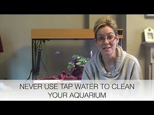 How to clean your aquarium - Part 1