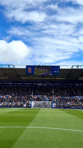 A club organised sponsored Netflix tifo, featuring a 'legend' that played just 44 times for the senior XI?This is beyond horrific 😂