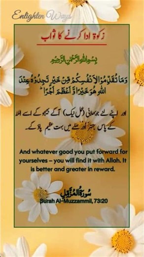 🌙 Reward of Giving Zakat 🕌 | Purification & Blessings ✨| زکوۃ ادا کرنے کا ثواب