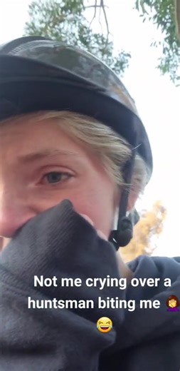 Dealing with Huntsman Spiders in Australia