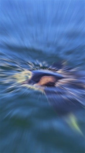 As I look back on all these moments from our charters, I can’t help but feel incredibly thankful. Being able to do what I love—exploring the water, finding dolphins, visiting Shell Island, and sharing these experiences with so many amazing people—is something I’ll never take for granted. Thank you to everyone who’s stepped onboard, laughed, adventured, and made memories with me this year. Your support is what keeps Anchor Charters going strong. ⚓️💙 Here’s to more sunsets, more dolphins, more cl