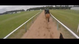 1.1K views | Ever fancied a career in the racing industry? Northern Racing College in Doncaster have a fantastic range of courses available for ages 16+ Head over to their website for more details  www.northernracingcollege.com | Doncaster Racecourse | Facebook