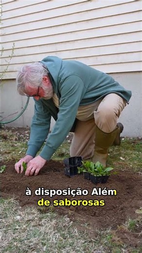 5 Ervas Fáceis de Cultivar em Casa | Guia Prático