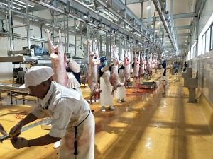 [Hot Item] Halal Meat Processing Line Slaughter Sheep/Goat Abattoir Machine