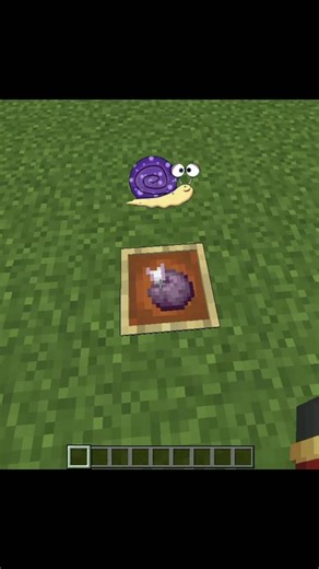 Minecraft Hidden Blocks Secrets 😮