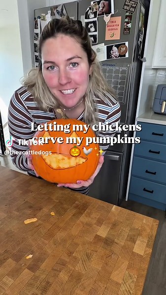 I can’t believe what they did to this at the end 😅 Letting my chickens carve my pumpkins is my favorite fall craft! ✨🤍🎃 #backyardchickens #chickenpumpkincarving #pumpkincarving #fallcrafts #haloween