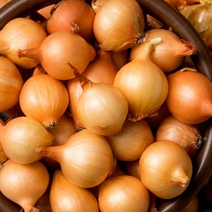 Stuttgarter Yellow Onion Bulbs: 1 Lb Naturally Grown Sets, 100  Bulbs - Grow All Year Inside or Out - Etsy