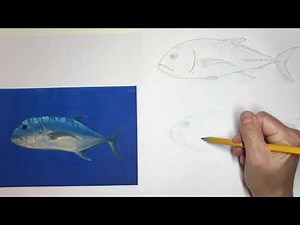 How To Draw An Awesome Ulua