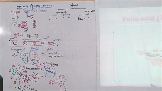#Folic_Acid_Deficiency_Anemia What is Folic Acid? Need of Folic Acid Metabolism of Folic Acid For Full Lecture Contact us at 0333 9316906 | Up Teaching Academy