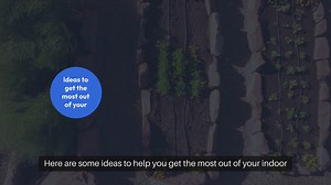 Indoor Garden Layout Ideas for Maximum Yield