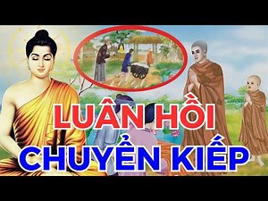 13 Chuyện Nhân Quả Báo Ứng Hay Nhất 2026, LUÂN HỒI CHUYỂN KIẾP - CứU Vật Báo Ơn, Cứu Người Trả Oán