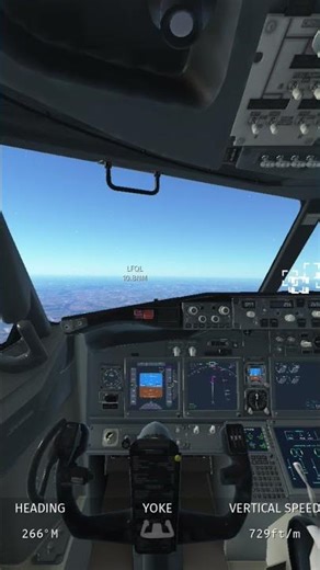 flight simulator game #cabin #flightgame #gamer #game #shorts