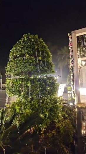 Best wedding planning decoration ideas in delhi #shortsyoutube #shortvideo #newvideo