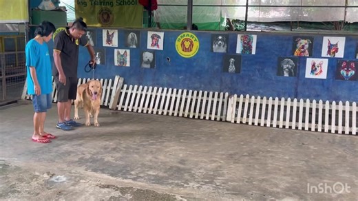 921K views · 28K reactions | သရုပ်ဆောင် မင်းသမီး အမမျိုးစန္ဒီကျော်...