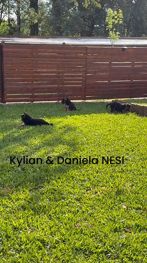 2.1K views · 83 reactions | Mariano Cabot on Reels | Facebook