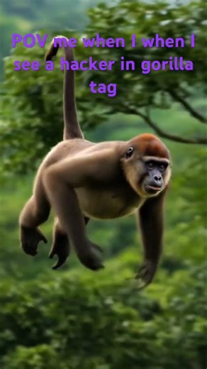 Like literally me when I see a hacker flying out of the map