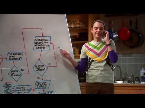 (HD) Flowchart - Algorithm for Making Friends - Sheldon - Big Bang Theory