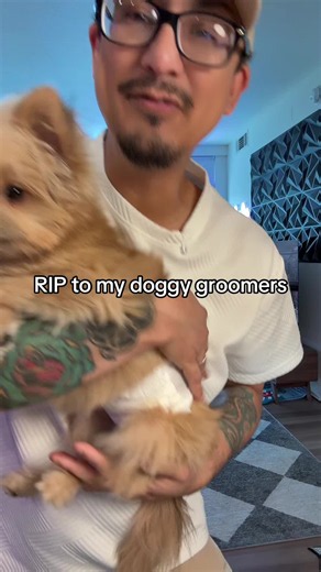 Wahl Pro Series Pet Clippers review — save on dog grooming