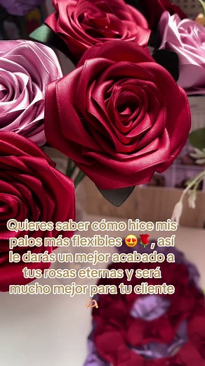 Cuentas recomendadas