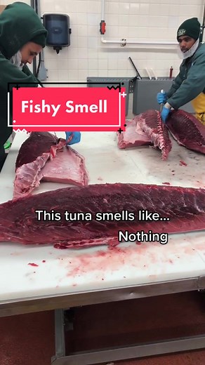 Dealing with a Fishy Smell: Tips and Tricks