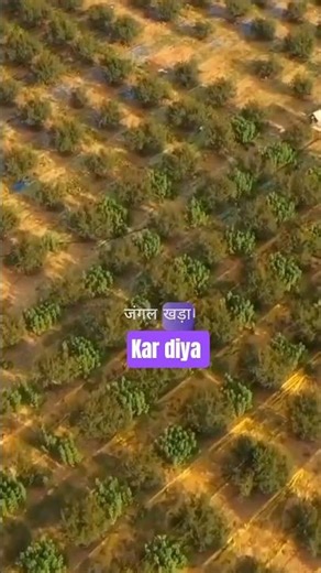 He Created a Forest with Just 1 Litre of Water!😳🌳#informative #shortsfeed #trees