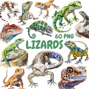 Watercolor Lizards Clipart Bundle, Chameleon Gecko Clipart, Reptile Illustrations, Transparent PNG Graphics, Commercial Use - Etsy