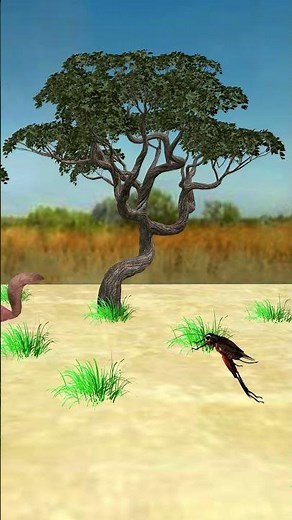 Cat Games ! Frogs for Cats to Watch ! #squirrel #frog #lizard #cat #catgames #cats