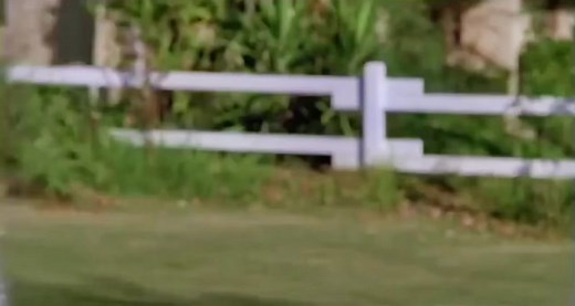 GARBAGE DAY #silentnightdeadlynight2 #garbageday #meme #christmas2021 #horrormovie #silentnightdeadlynight #fyp