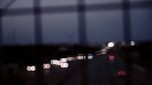 11K views · 239 reactions | Footage by the brilliant, Grace Carillo...