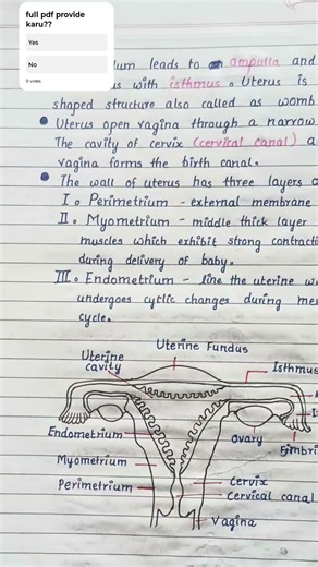 How Human Reproduction REALLY Works(full notes)☝️ comment yes