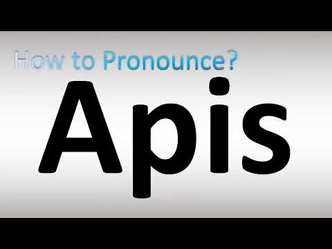 How to Pronounce Apis