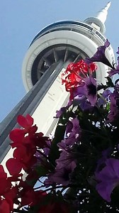 ❤️So much to enjoy in Canada❤️ 🎥 TodaysCanada | TodaysCanada