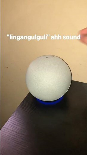 Amazon Alexa Start and End of Request Sounds #shorts #lingaguliguli