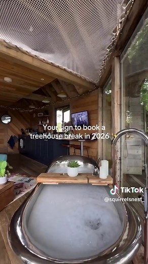 Your sign to book a treehouse break in 2026 ✨ #2026 #squirrelsnest #newyears #2025recap