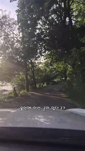 용인에 이런 곳이? 두창호수 뷰 즐기는 루프탑 카페 모안